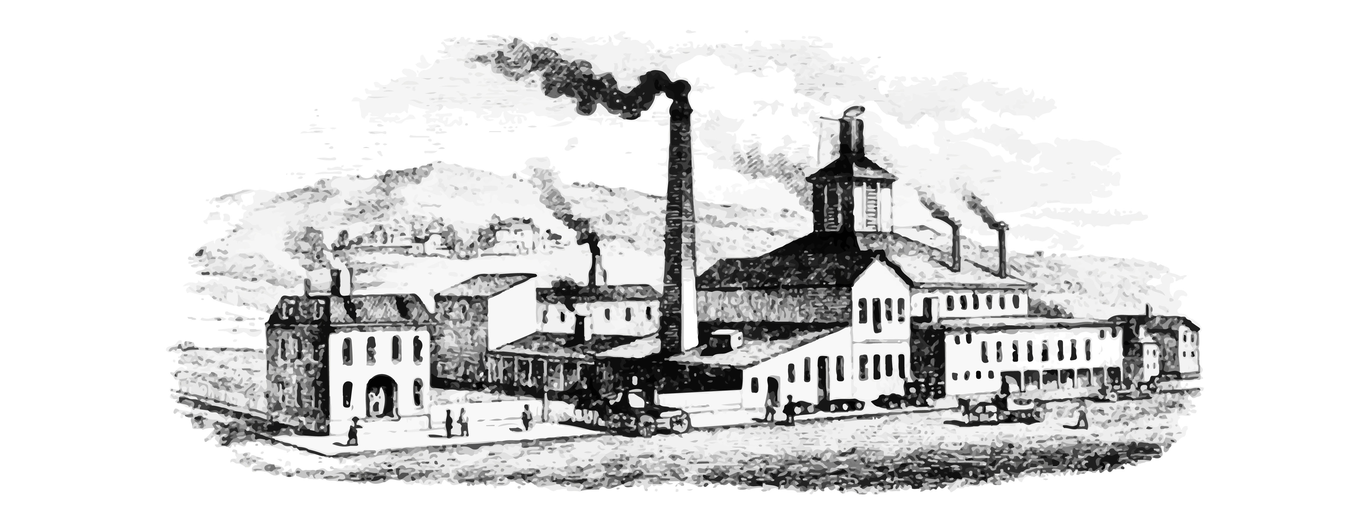 Coal